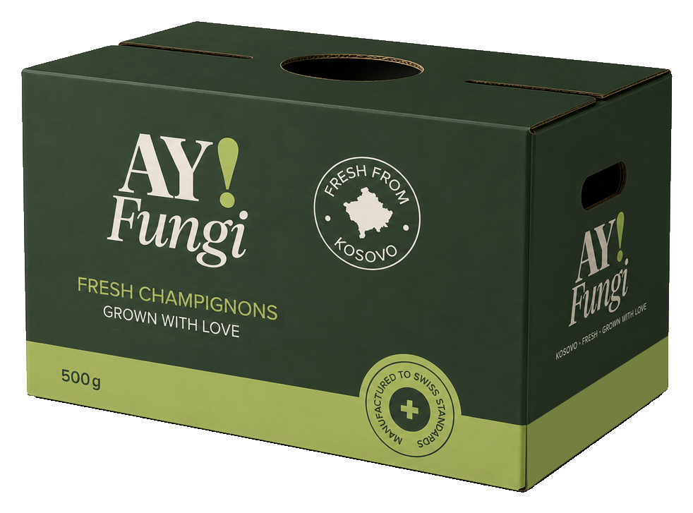 AY! Fungi export carton box